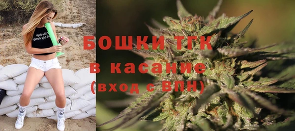 экстази Арсеньев