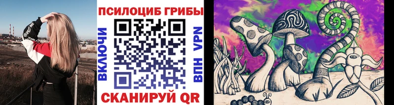 Псилоцибиновые грибы GOLDEN TEACHER Неман